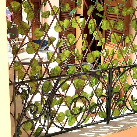 Sunny Almond Appartamento *